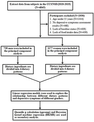The Joint Association Between Multiple Dietary Patterns and Depressive Symptoms in Adults Aged 55 and Over in Northern China